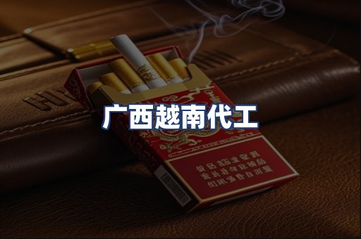 广西越南代工